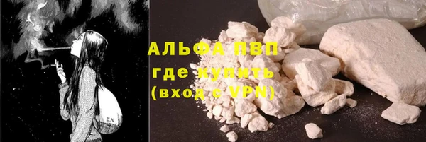 шишки Сатка