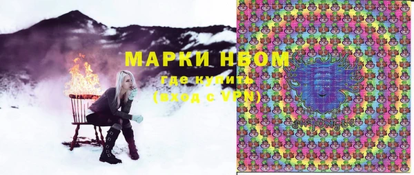 шишки Сатка