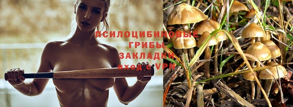 соль ск Абдулино