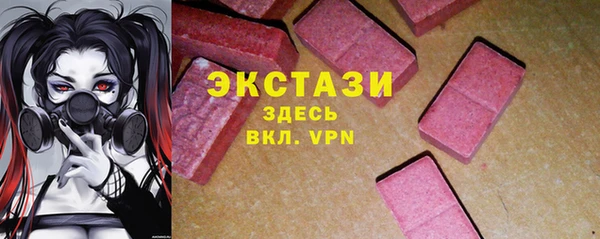 шишки Сатка