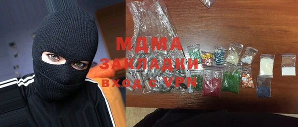 шишки Сатка