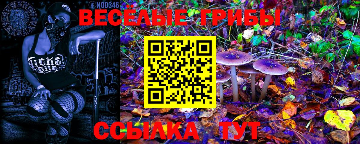 Псилоцибиновые грибы Magic Shrooms Донецк